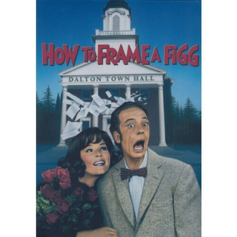 Don Knotts How To Frame a Figg = Dvd