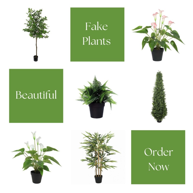 Browse Through The Most Stunning Collection Of Artificial Plants in Melbourne