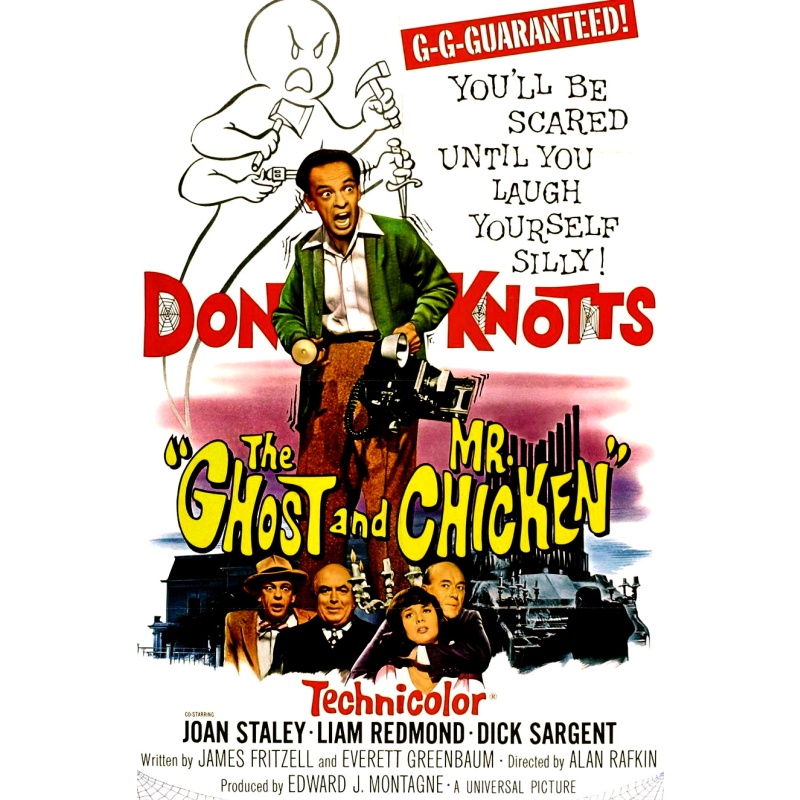 The Ghost And Mr Chicken   1966  DVD